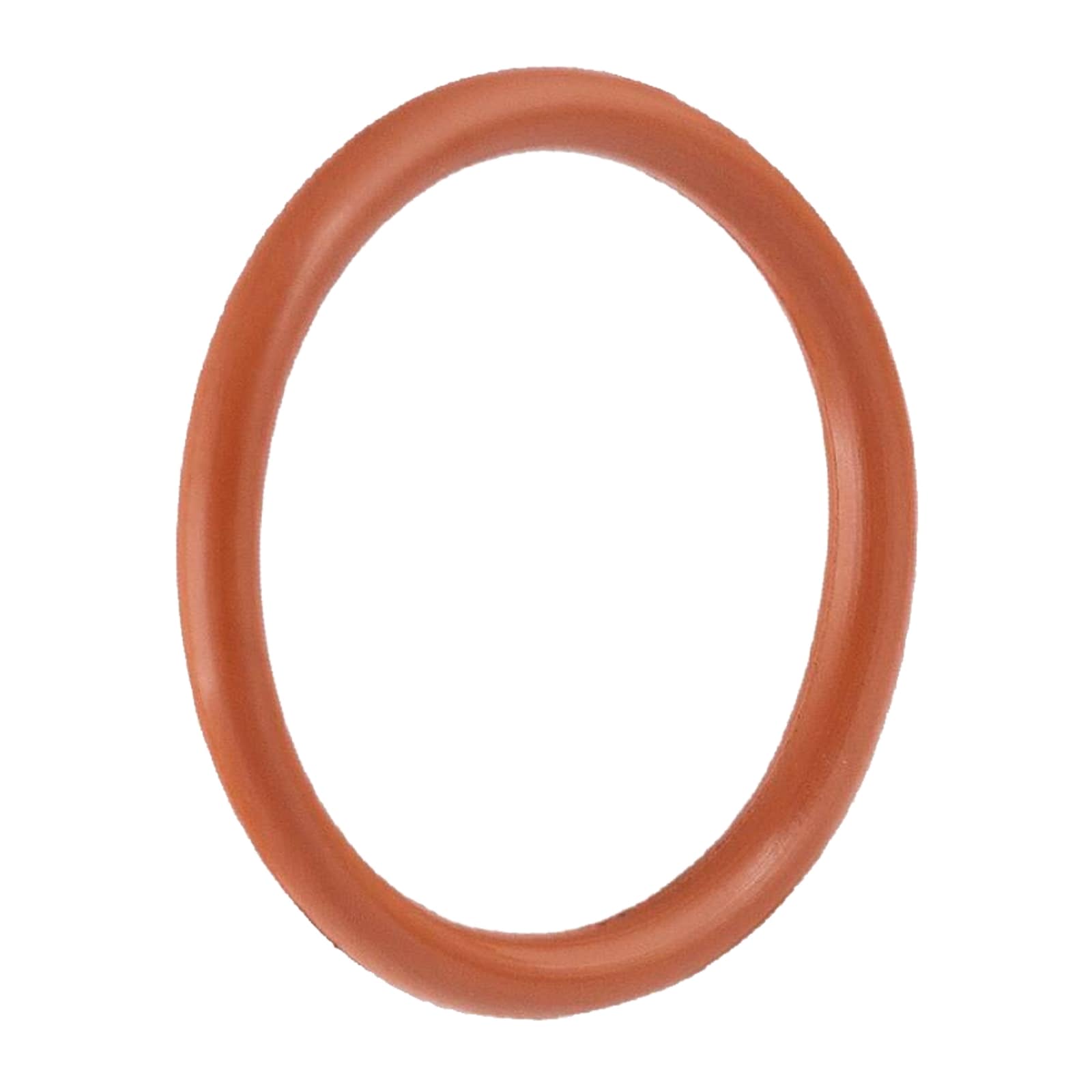 54 mm Dichtung Dichtring FPM Viton Öl beständig Edelstahl AISI 316 Fittings PN 16 bar