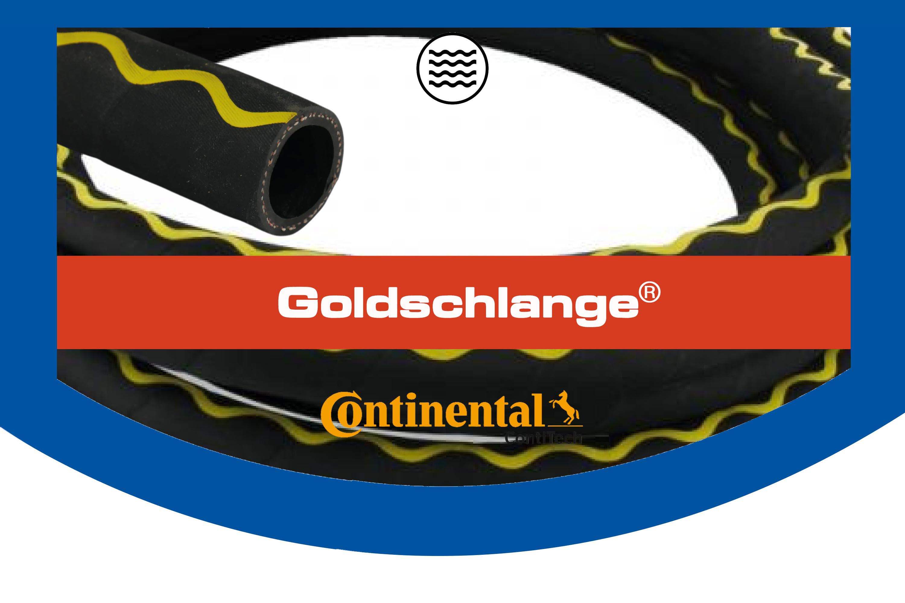 GOLDSCHLANGE