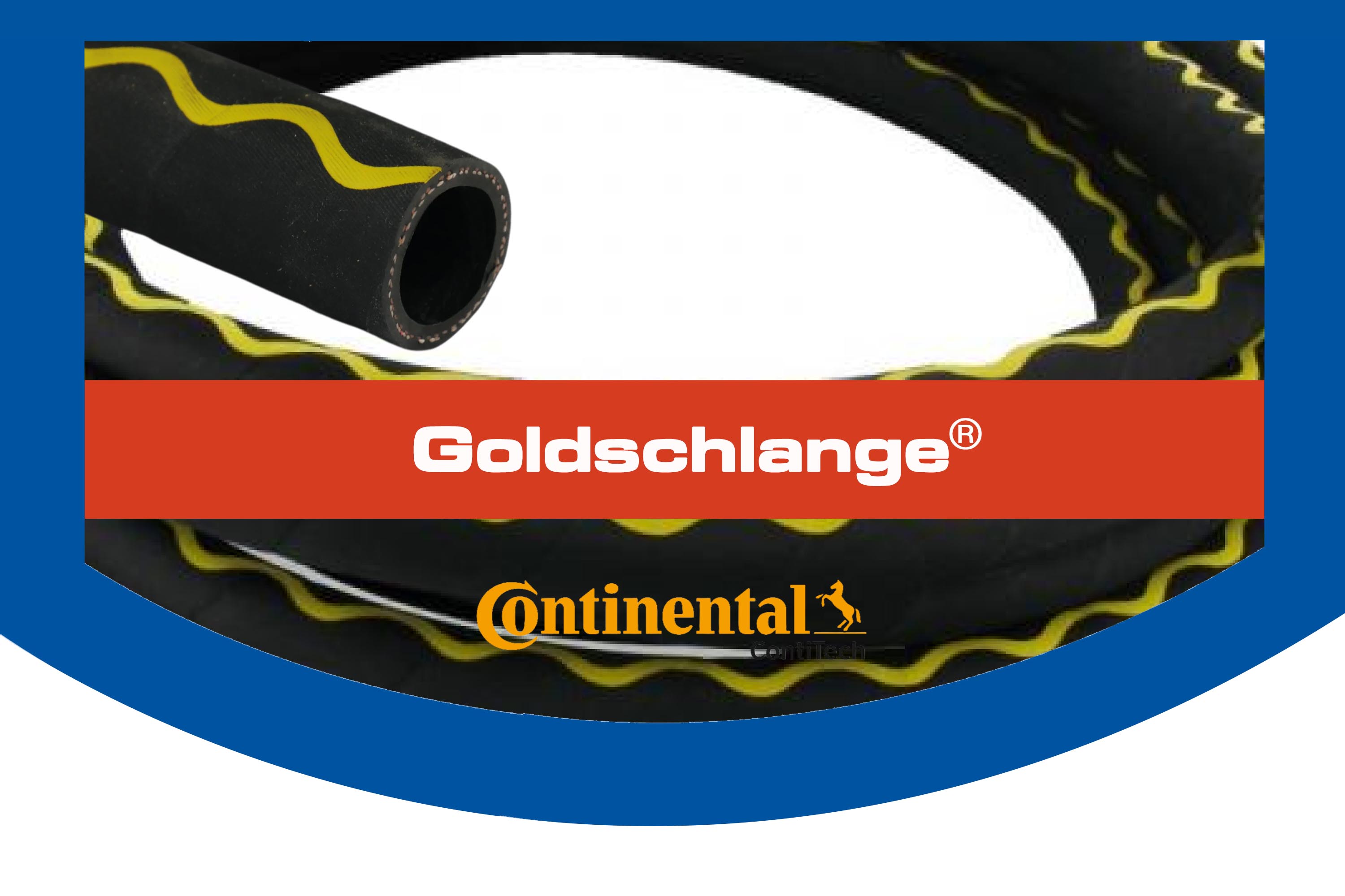GOLDSCHLANGE GOLDSCHLANGE