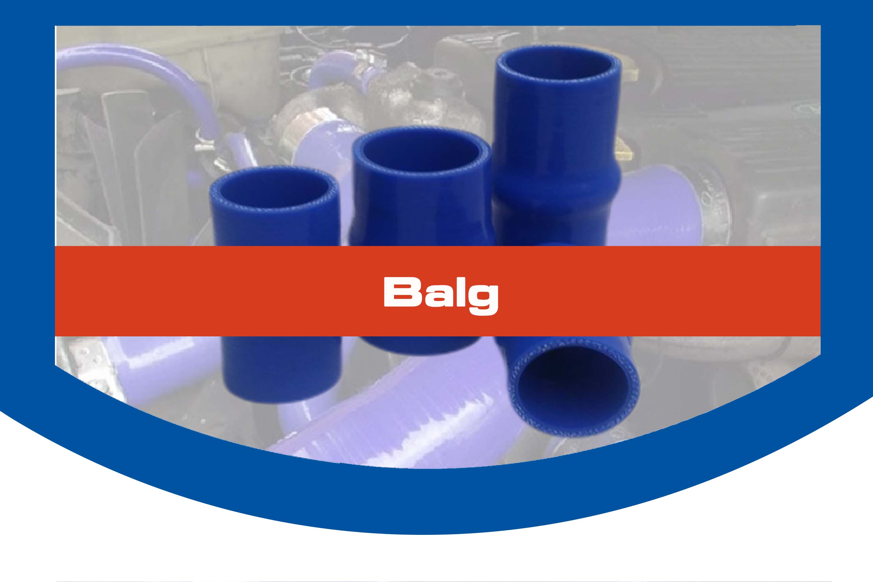 BALG BALG