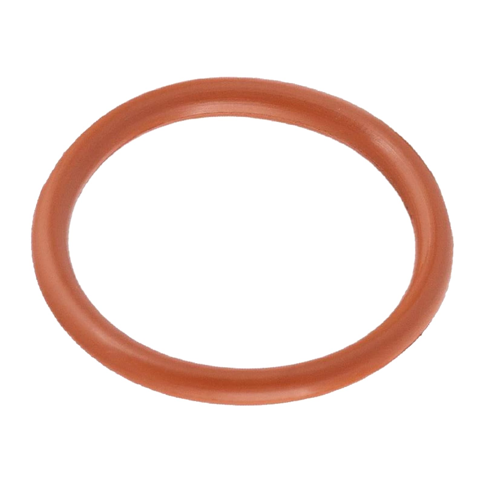 54 mm Dichtung Dichtring FPM Viton Öl beständig Edelstahl AISI 316 Fittings PN 16 bar