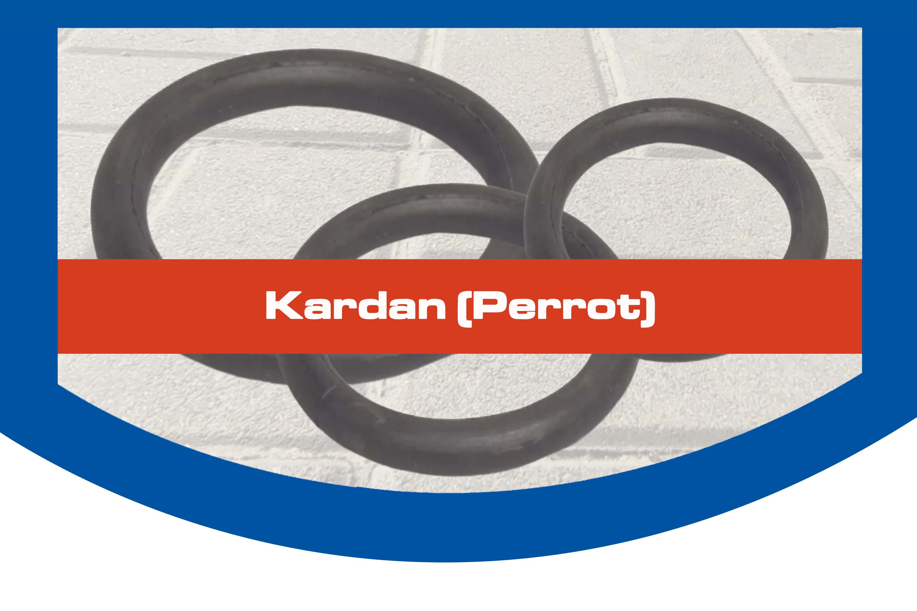 Kardan (Perrot) Kardan (Perrot)