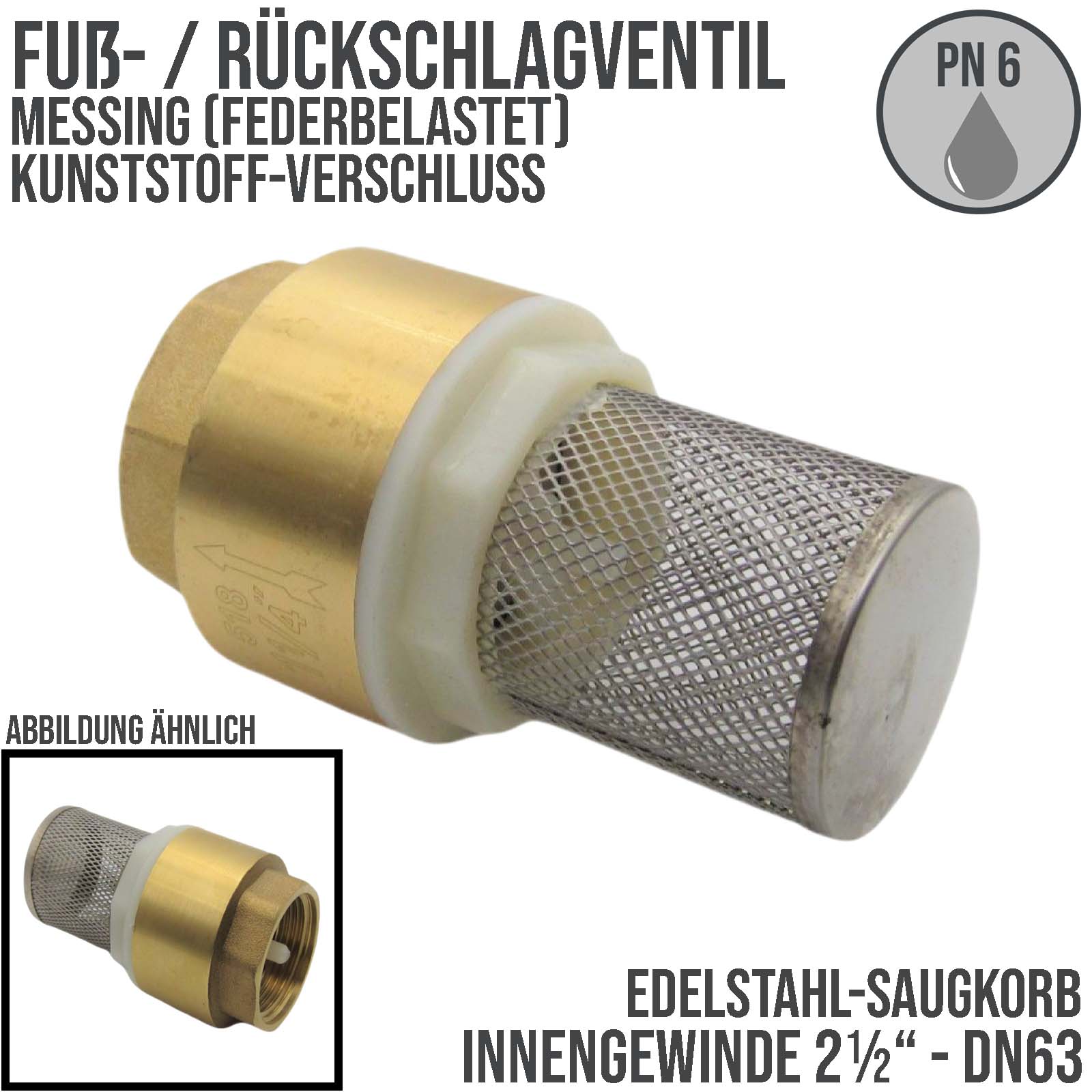 2 1/2" Zoll Fuß Rückschlag Absperr Ventil Messing Edelstahl Saugkorb Kunststoff Verschluss