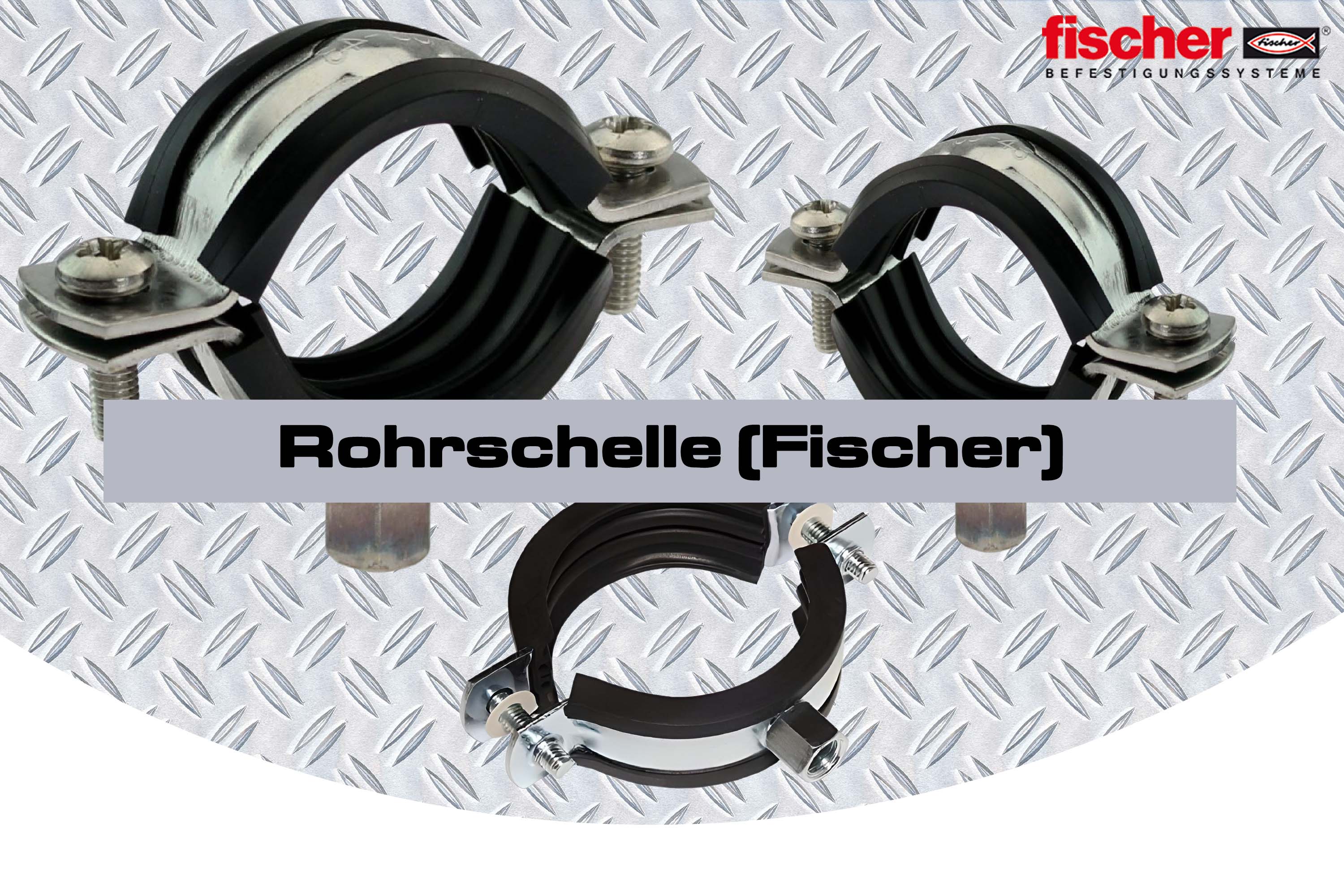 Rohrschelle (Fischer)