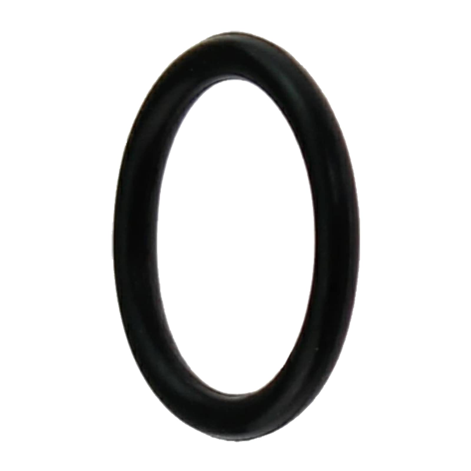54 mm Dichtung Dichtring EPDM Edelstahl AISI 316 Fittings PN 16 bar