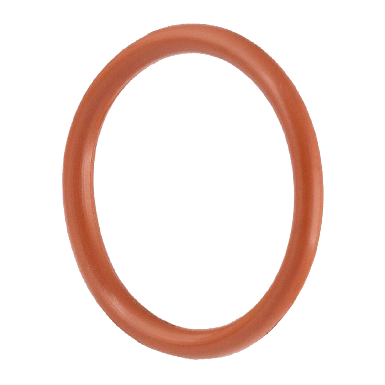 54 mm Dichtung Dichtring FPM Viton Öl beständig Edelstahl AISI 316 Fittings PN 16 bar
